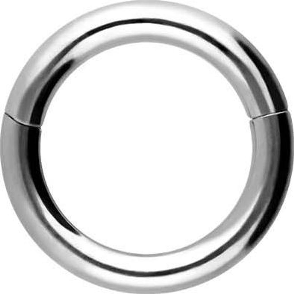 Ohrpiercing, Nasenpiercing, Septum Piercing Titan Segmentring Clicker Silber Innendurchmesser: 5mm + Stabstärke: 1,2mm