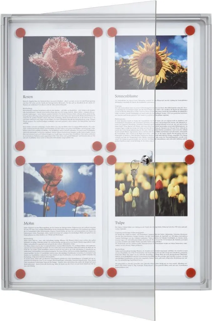 Vetrina Espositiva Franken FSA2 2x A4 - 51x37cm Magnetica e Scrivibile