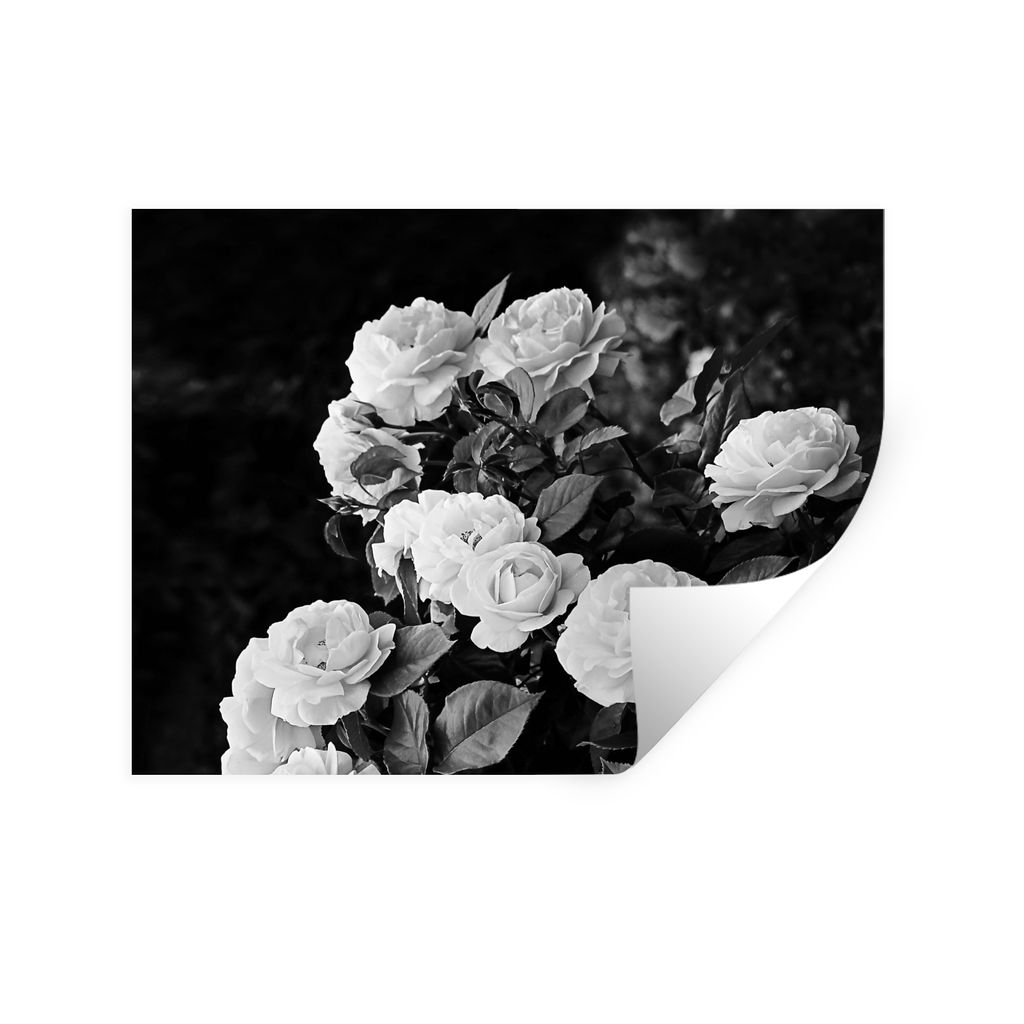 MuchoWow Wandtattoo Wandsticker Wandaufkleber Blumen - Schwarz und Weiß - Natur - Pflanzen - Rosen 80x60 cm Selbstklebend und Repositionierbar -...
