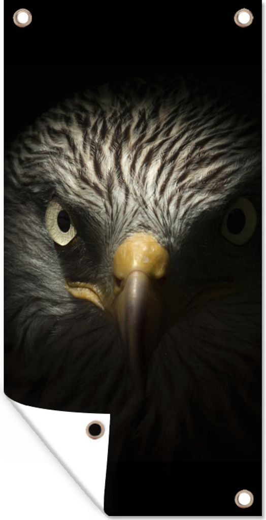 MuchoWow 80x160 cm Outdoor-Poster Gartendeko Sichtschutz Garten Poster für den Garten Vogel - Adler - Raubvögel - Auge - Schnabel - Licht