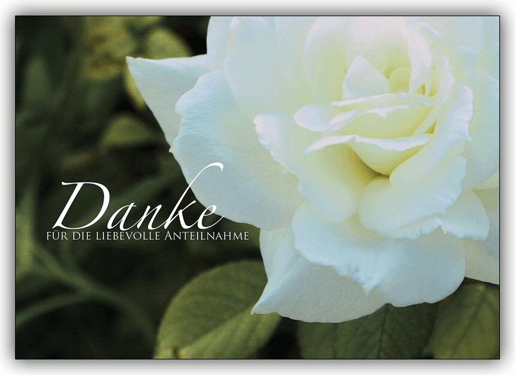 4x Feine Trauer Dankeskarte mit Rose: Danke für die liebevolle Anteilnahme –