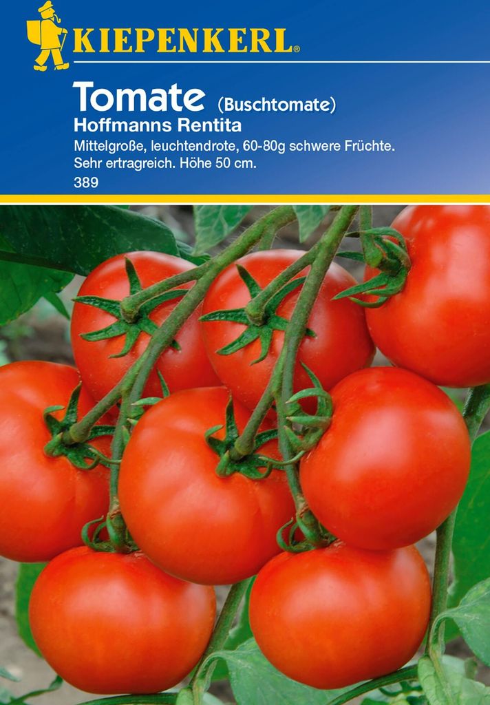 Kiepenkerl Busch-Tomatensamen Hoffmanns Rentita