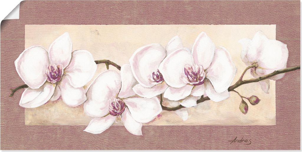 ARTland Poster Orchideenzweig_in Beerentönen Größe: 100x50 cm