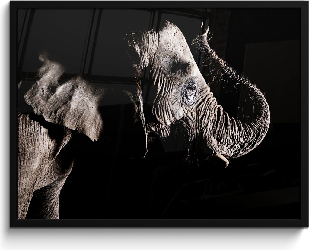 MuchoWow® MuchoWow® Gerahmtes Poster Elefant - Schwarz - Produktbild 