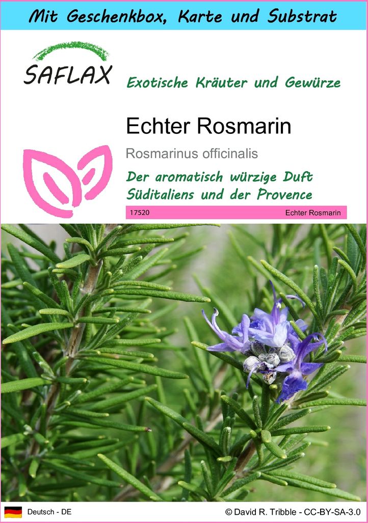 SAFLAX - Geschenk Set - Kräuter - Echter Rosmarin - 100 Samen - Mit Geschenk- / Versandbox, Versandaufkleber, Geschenkkarte und Anzuchtsubstrat - ...