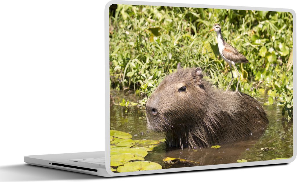 MuchoWow Laptop Aufkleber Sticker Cover Ein Wasserschwein sitzt im Wasser mit einem Vogel darauf 40x30 cm - Laptop Dekoration - Selbstklebend