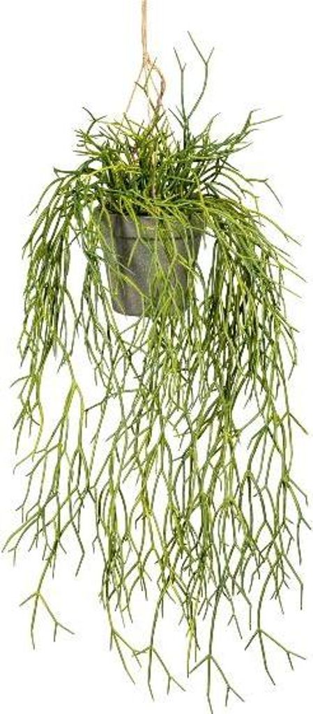 artplants.de Deko Rhipsalis Blumenampel SKRAKY, Dekotopf, hängend, grün, 60cm - Künstliche Sukkulente