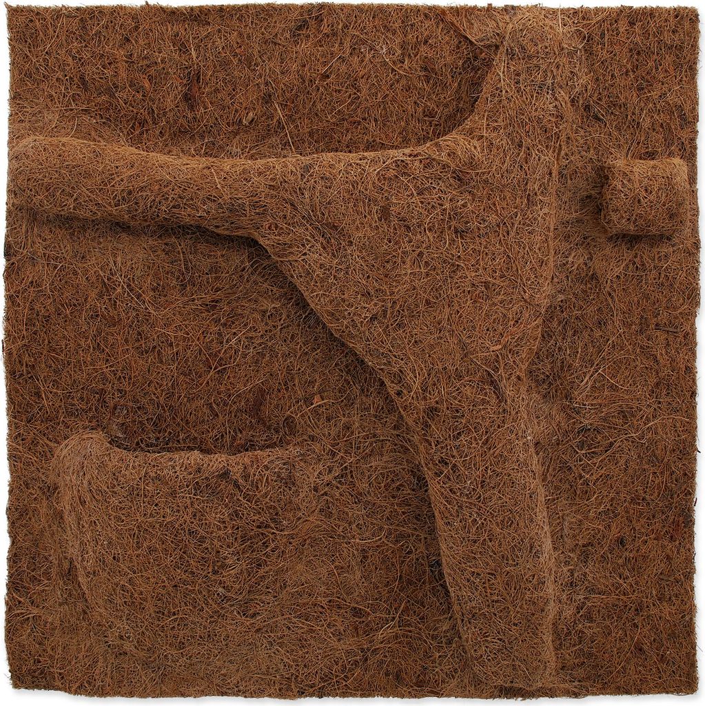 Repti Planet 007-54013, Kokosnuss-Faser, 1 Stück(e), 500 Produktbild 