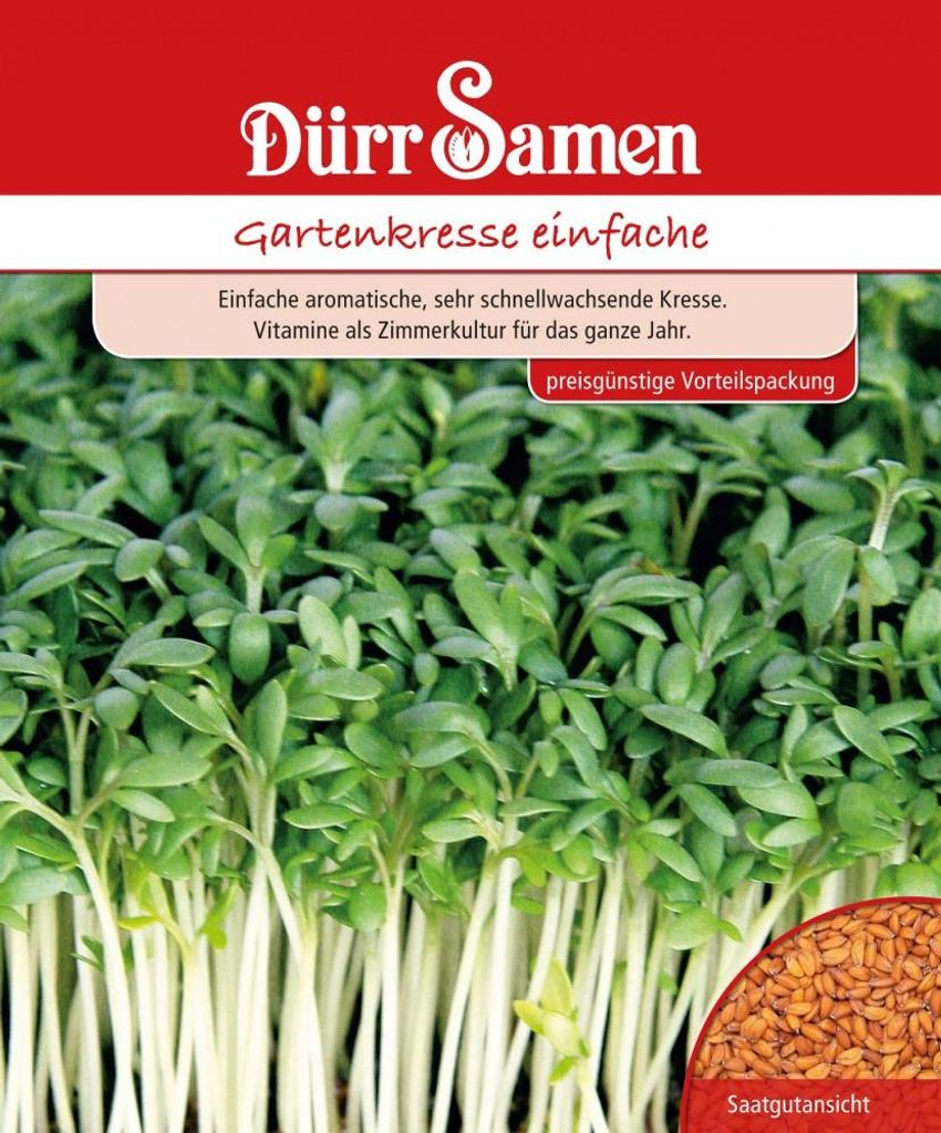 Gartenkresse einfach 250 g | Gartenkressesamen von Dürr Produktbild 