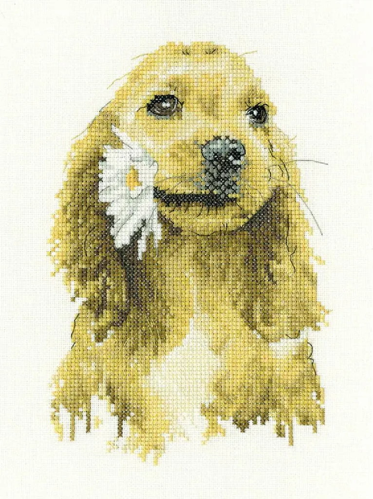 Ricamo Heritage Crafts Cocker Spaniel Daisy | Kit Punto Croce Completo