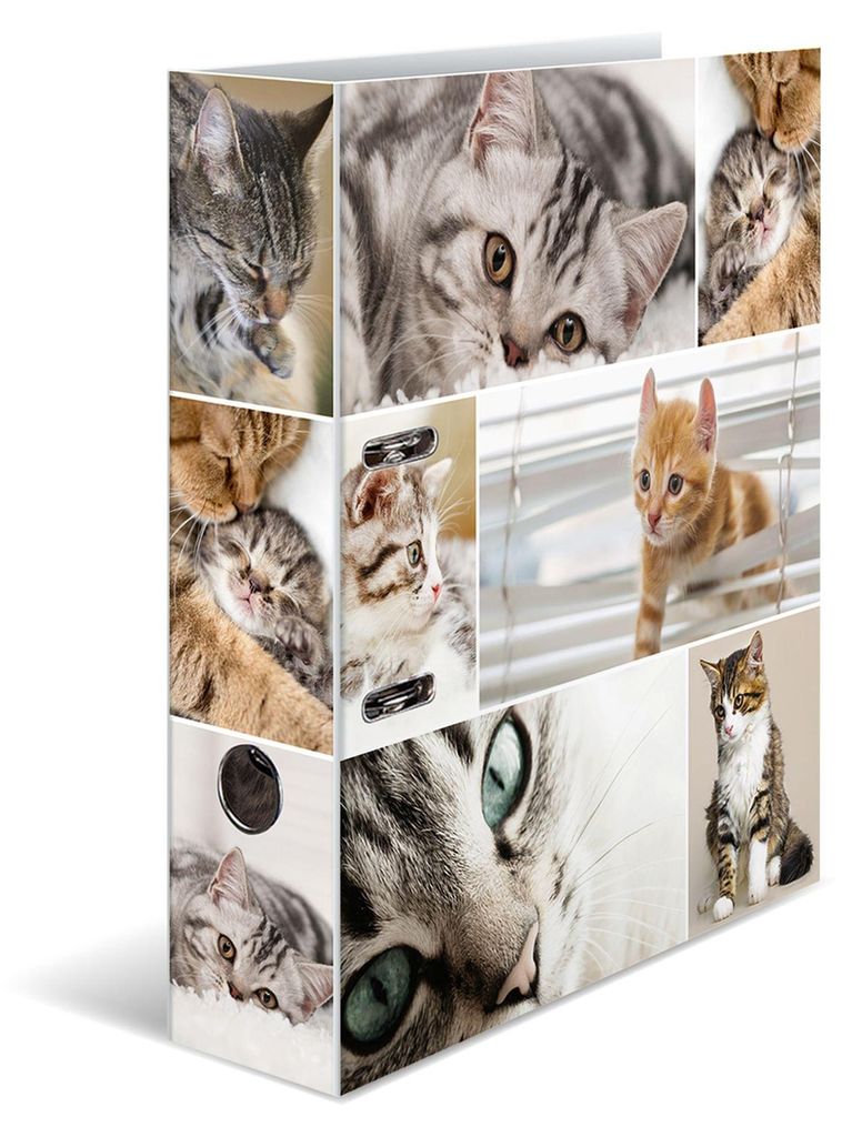 Herma raccoglitore motivazionale A4 Animals gatti 285x315 Immagine del prodotto 