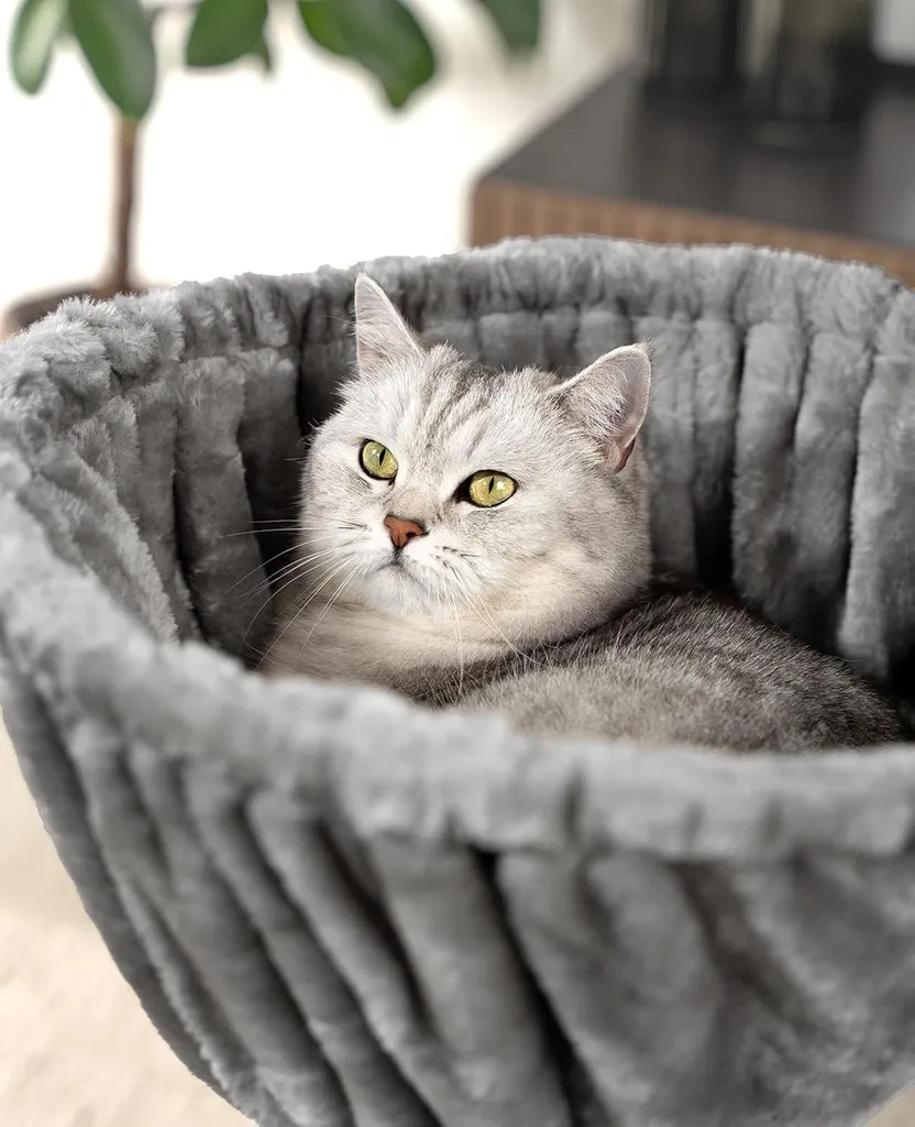 Hamac arbre à chat très confortable avec fixation renforcée en acier - 3