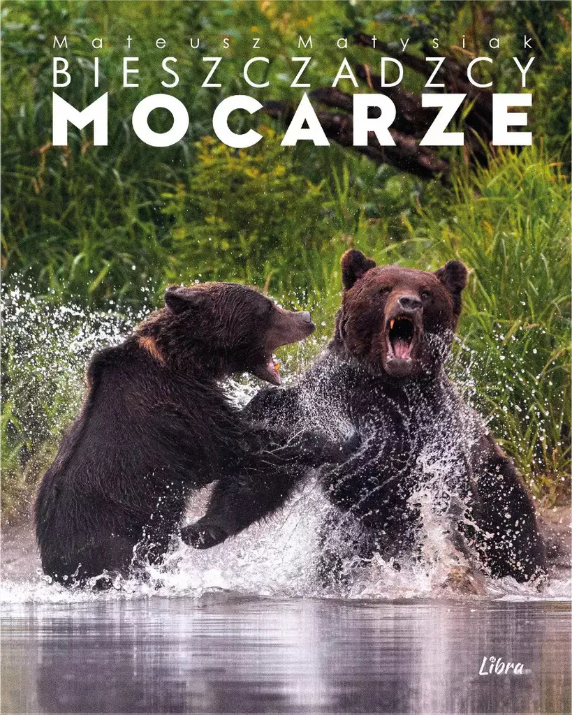Album Bieszczadzcy mocarze Le combat des ours - Photographies de Nature