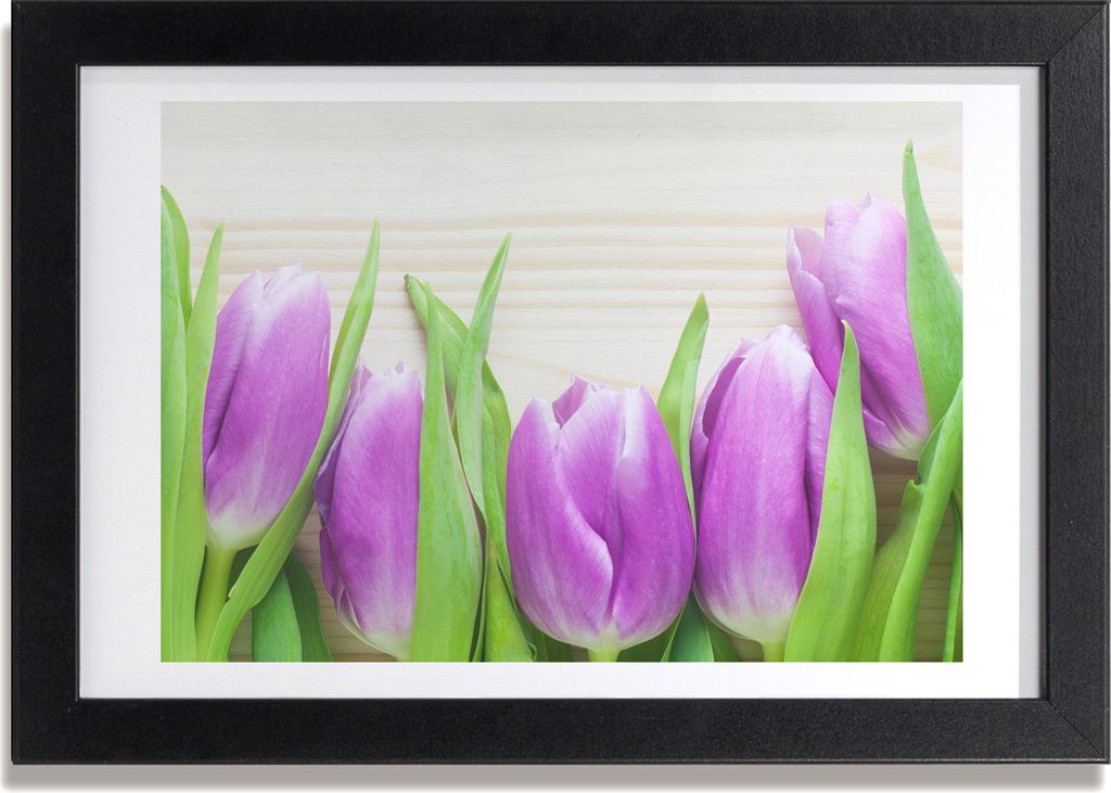 Bild 30x20 MDF-Rahmen, Wandkunst lila Tulpen