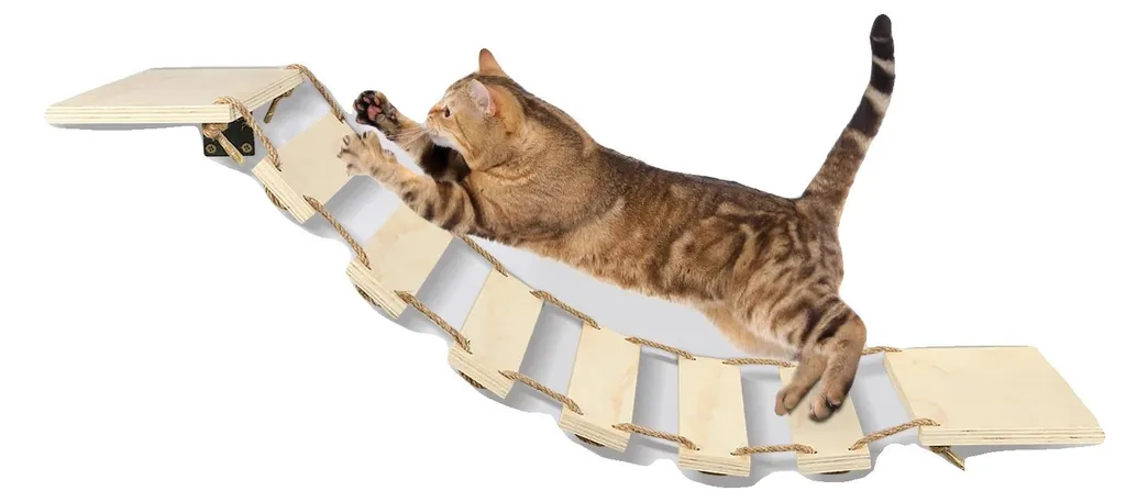 Étagère murale pour chat : libérez de l'espace et divertissez-le