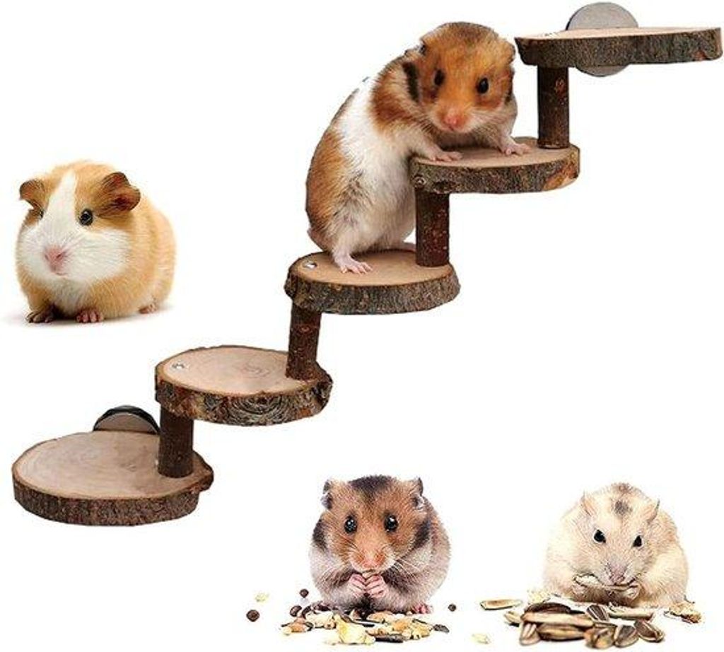 Holz-Hamsterrutsche für kleine Tiere Holzbrücke für Hamsterkäfig