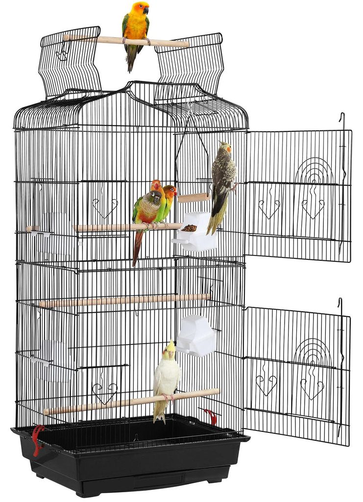 Cage à oiseaux 591824, avec ouverture du toit et 4 Image du produit 