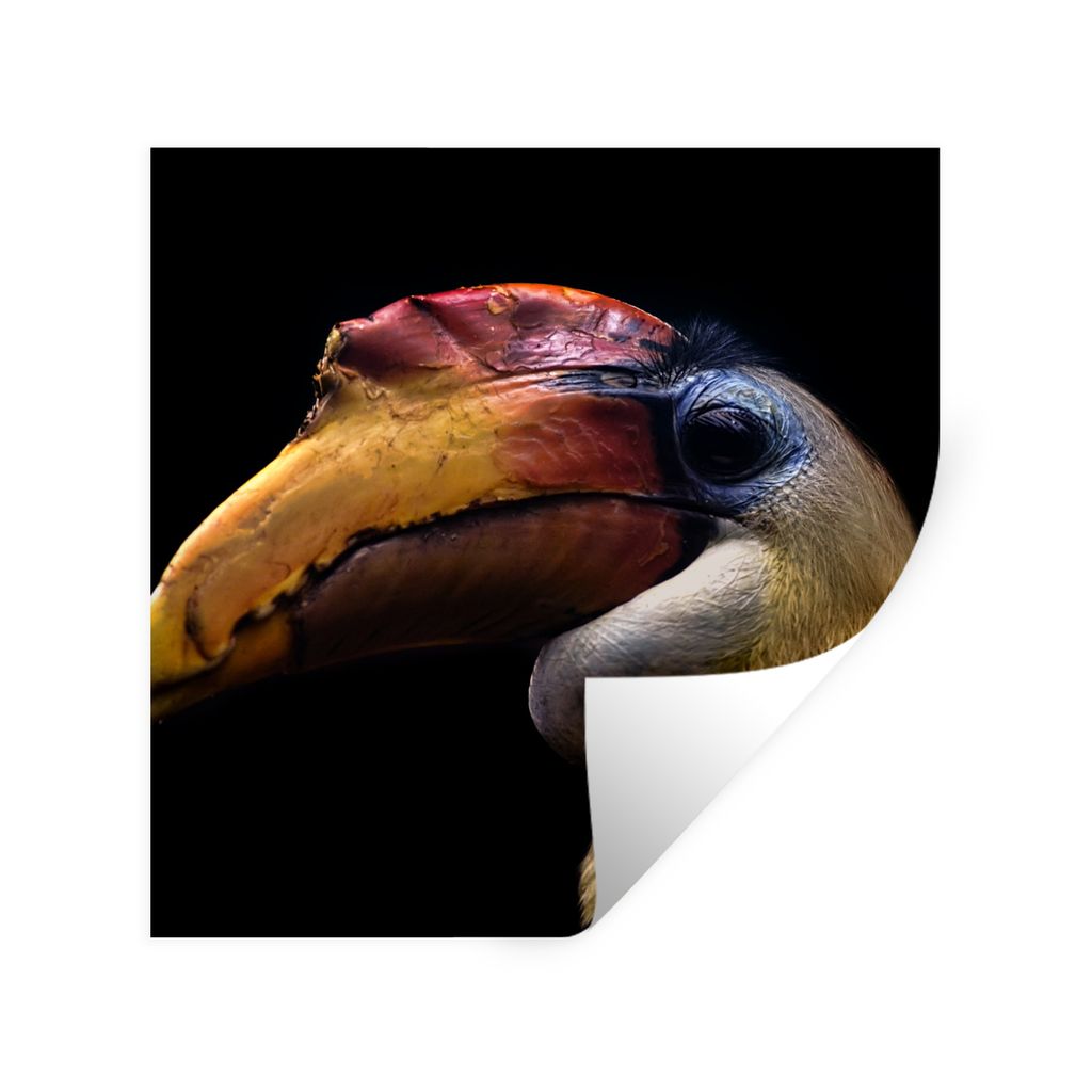 MuchoWow Wandtattoo Wandsticker Wandaufkleber Vogel - Schnabel - Schwarz 30x30 cm Selbstklebend und Repositionierbar - Repositionierbar - Wasser ...