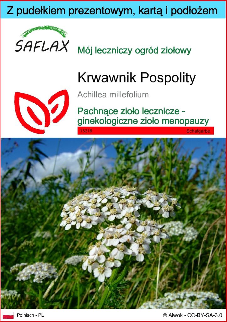 SAFLAX - Zestaw prezentowy - Krwawnik Pospolity - 200 Zdjęcie produktu 