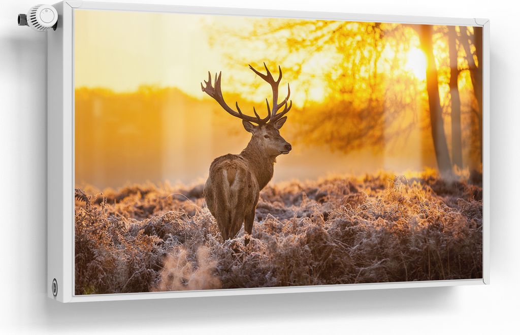 DEQORI Magnetmatte Heizung Standard 100x60 cm 'Hirsch am Wintermorgen' Magnetfolie
