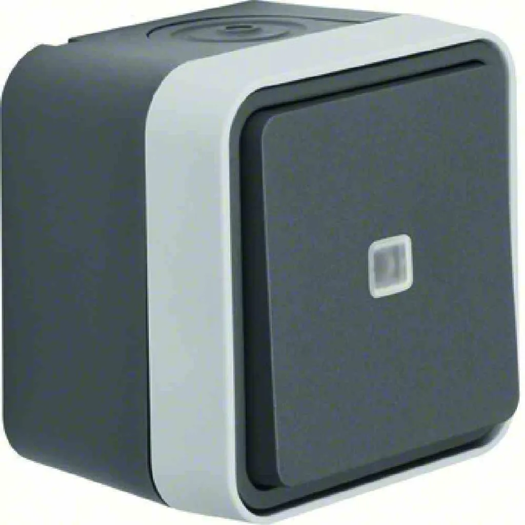 Bouton-poussoir à bascule avec rétroaction Berker W.1 IP55 gris robuste