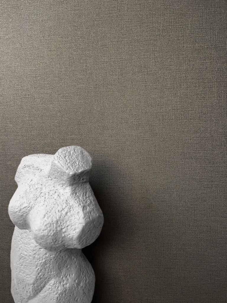 NEWROOM Tapete Braun Vliestapete Unifarbe - Edle Farben Uni Produktbild 