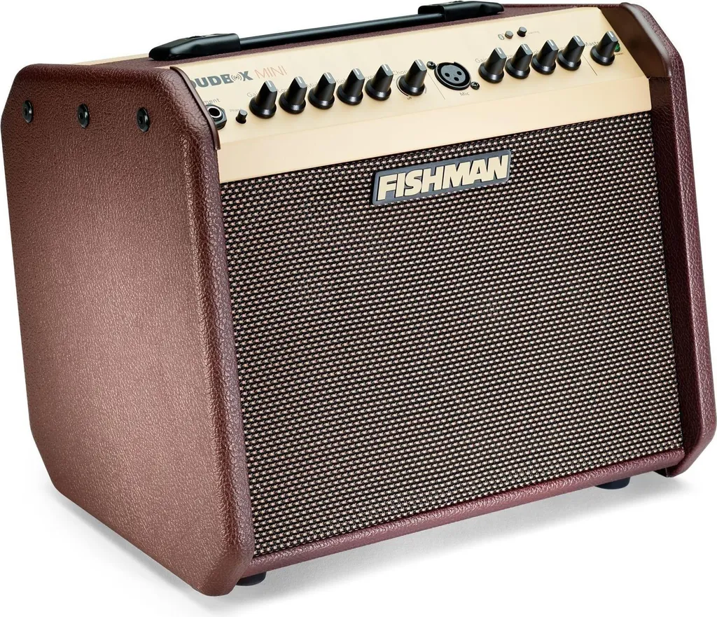 Amplificateur de guitare acoustique Fishman Loudbox Mini avec Bluetooth