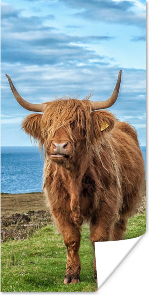 MuchoWow Poster Schottischer Highlander - Wasser - Hörner 20x40 cm - Plakat - Foto