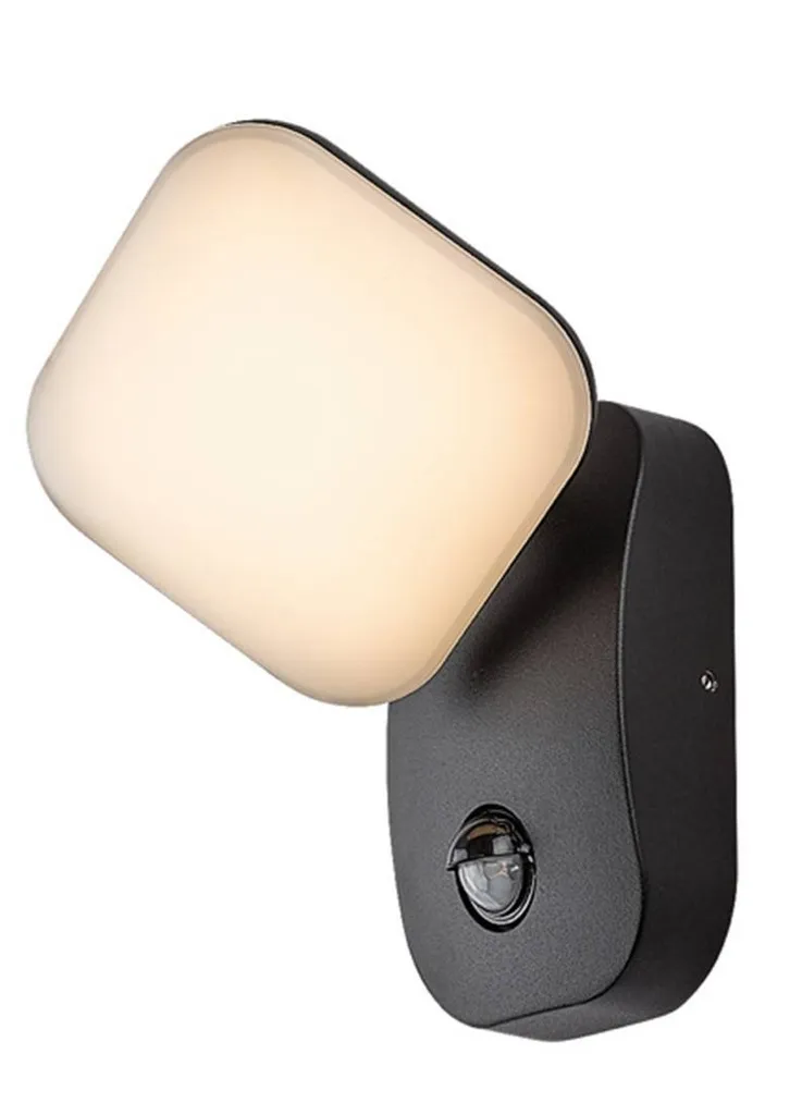 Plafonnier Extérieur LED Noir 12W IP44 Odiel Rabalux à Détecteur Intégré