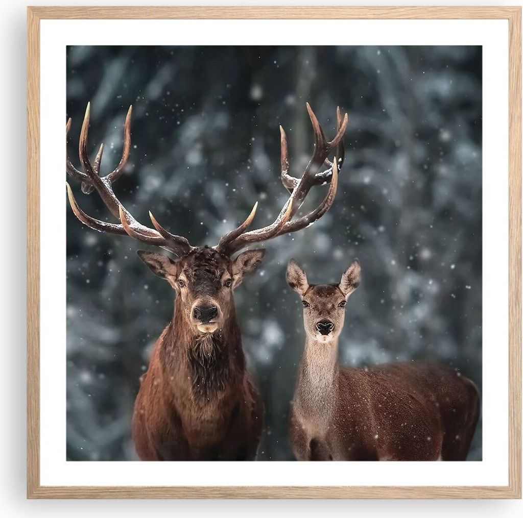 Gerahmtes Poster - Rahmen in heller Eiche - Hirsch Rentier Reh - 60x60 cm - Wand Bild - Wanddeko - Wandbilder - Kunstposter - Wandposter - Bilderra...