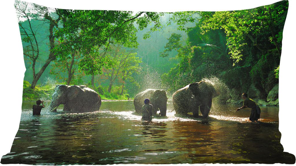 MuchoWow Zierkissen Sofakissen Wohnzimmer Dekokissen 50x30 cm Elefant - Wasser - Bäume - Grün - Tiere - Wohnzimmerdekoration - Polster mit Photo