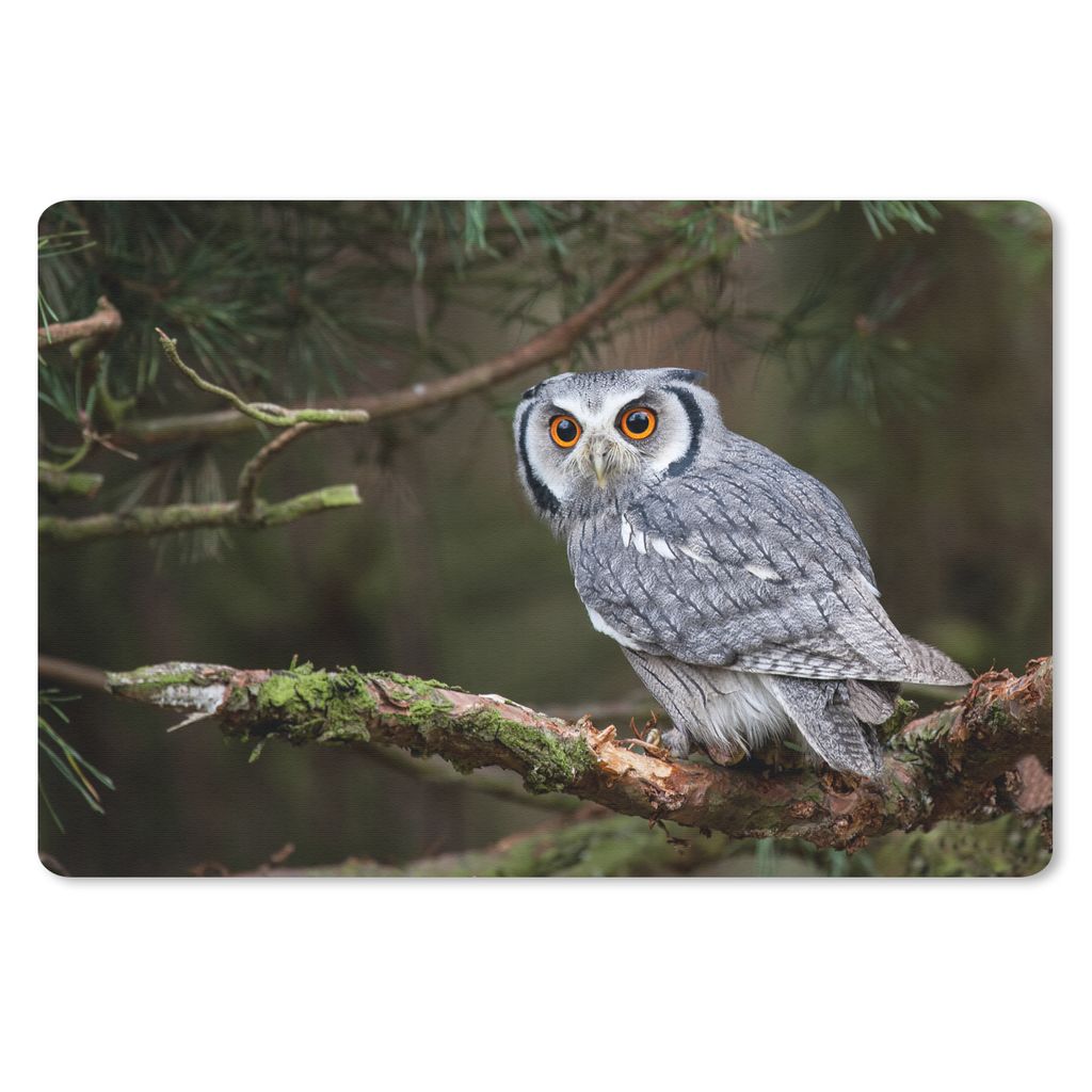 MuchoWow Mauspad Mousepad Eule - Vogel - Äste - Natur 27x18 cm - Mousepads - Maus Mat - Pad - Mausunterlage - Büroartikel - Desk Matten