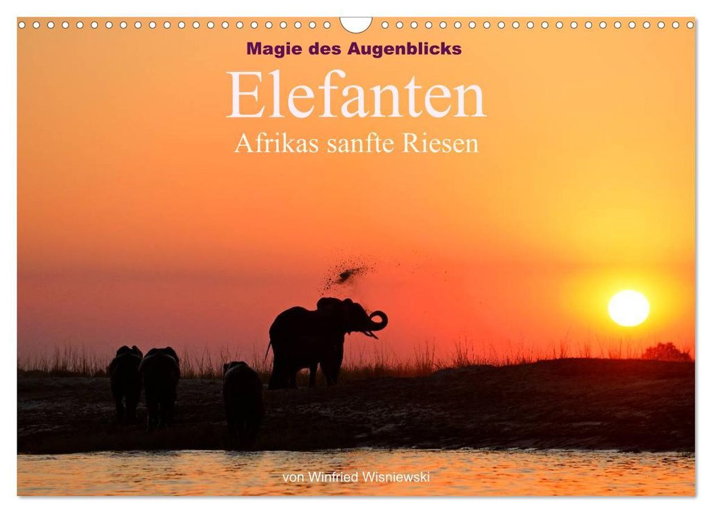 Magie des Augenblicks - Elefanten - Afrikas sanfte Riesen (Wandkalender 2027 DIN A3 quer), CALVENDO Monatskalender