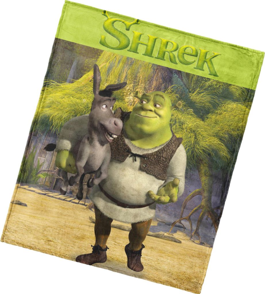 Krabbeldecke Shrek und Esel 130x160 cm
