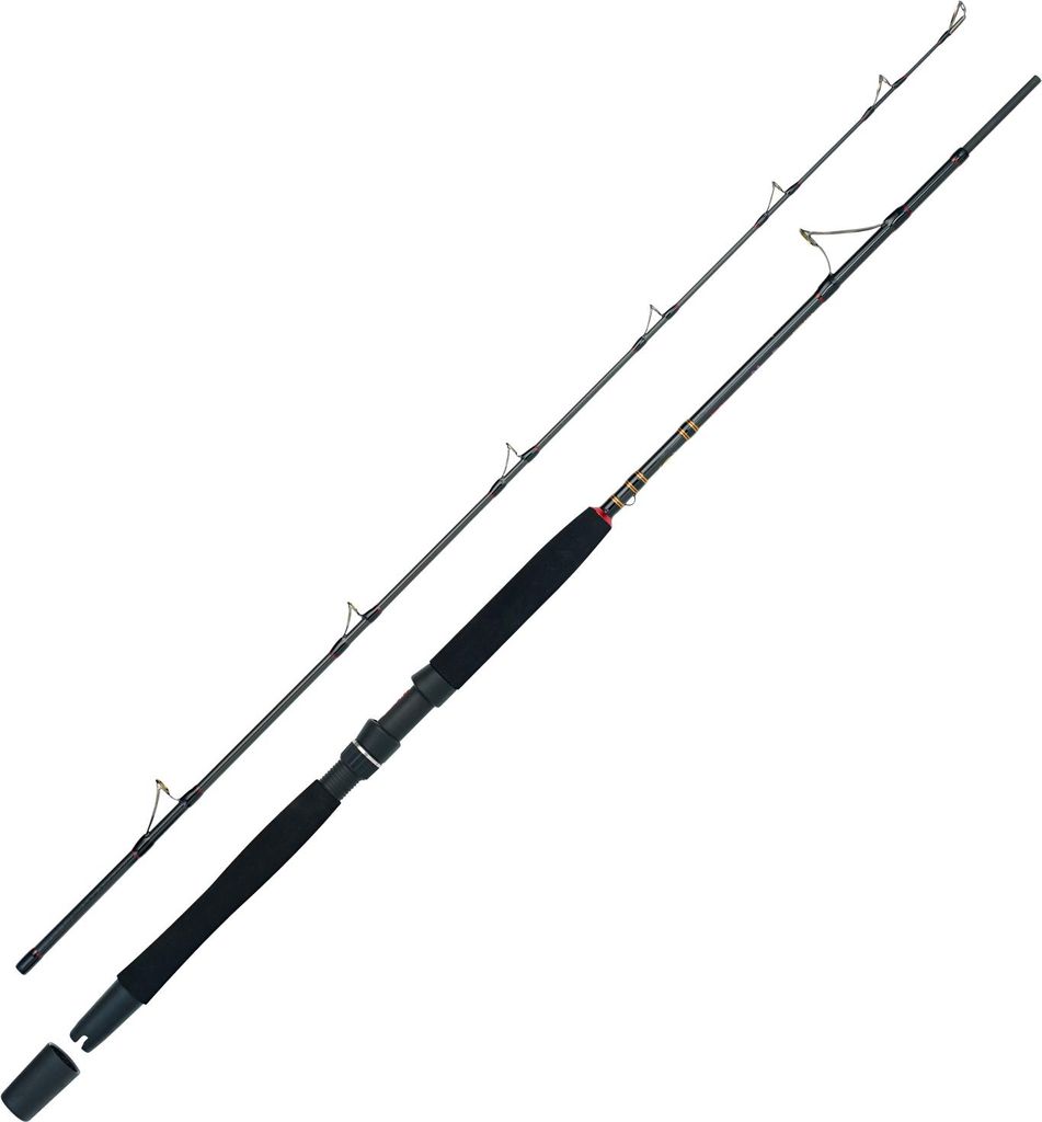 WFT Go North II 50lbs 2,10m 400-1000g Produktbild 