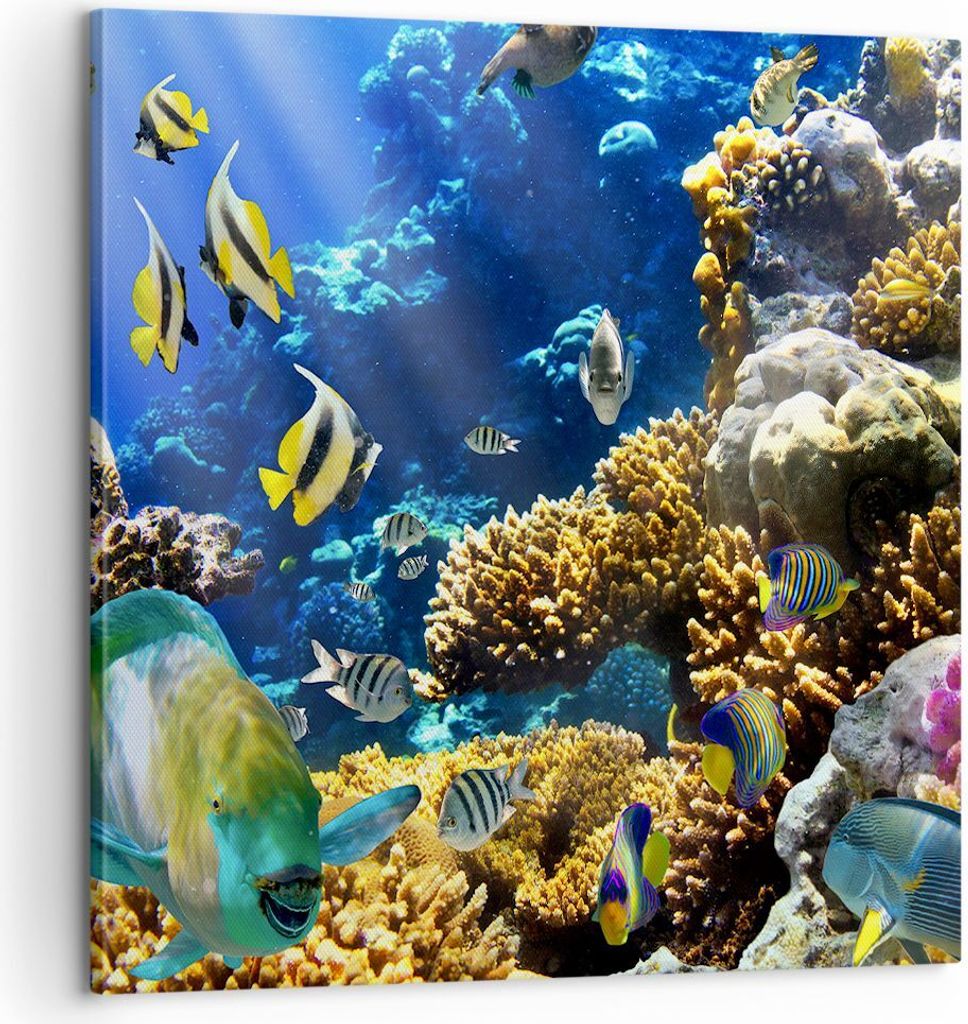 Bild auf Leinwand - Leinwandbild - Korallenriff Ozean Krabbe Fisch - 60x60cm - Wand Bild - Wanddeko - Leinwanddruck - Bilder - Kunstdruck - Wanddek...