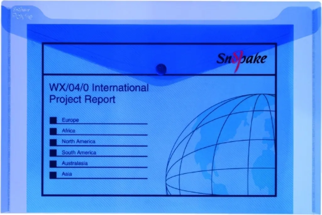 Pochette de Rangement A5 Transparente Snopake Polyfile pour Documents