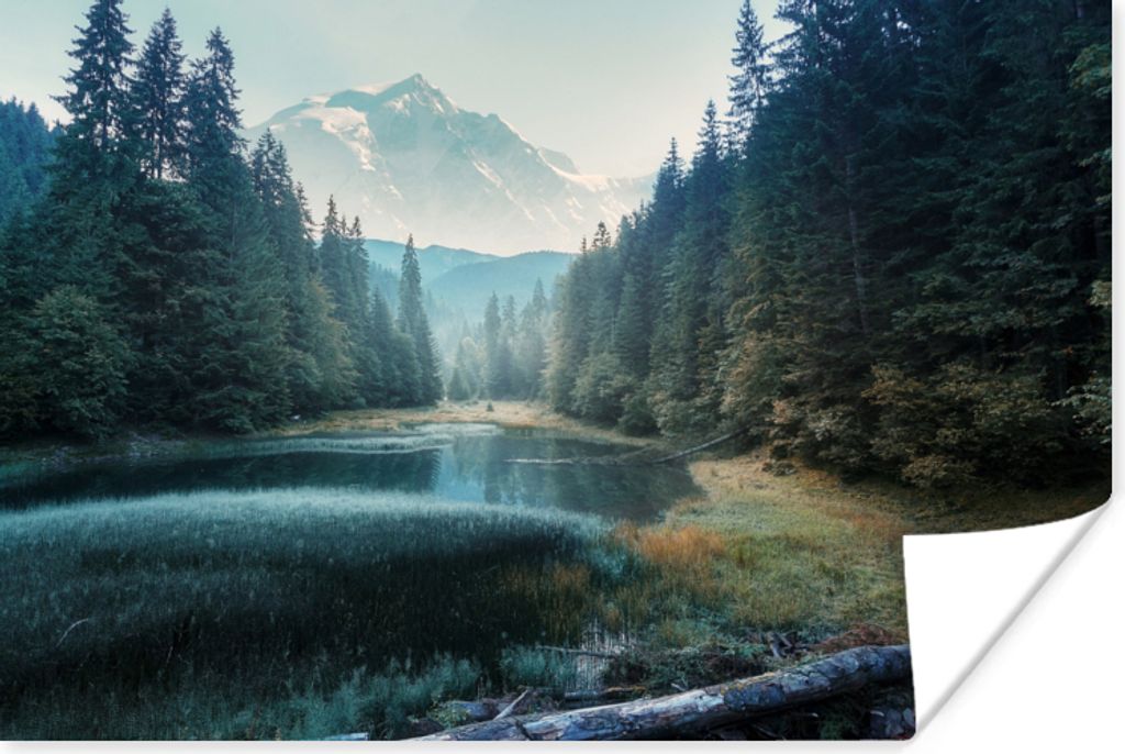 MuchoWow Poster Wald - Gras - Berge - Bäume - Natur 180x120 cm - Fotoplakat