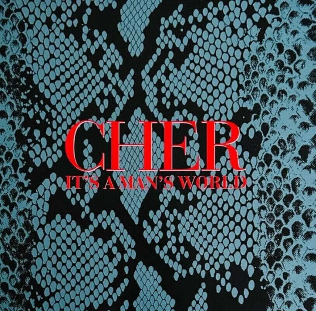 Cher It's A Man's World Box Set Deluxe Edition 4 LP Vinyle Coloré