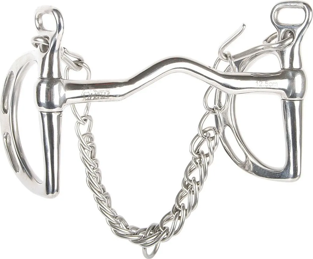 Mors de Bride 13 mm Confort Langue 12,5 cm Argent pour Cheval Sensible