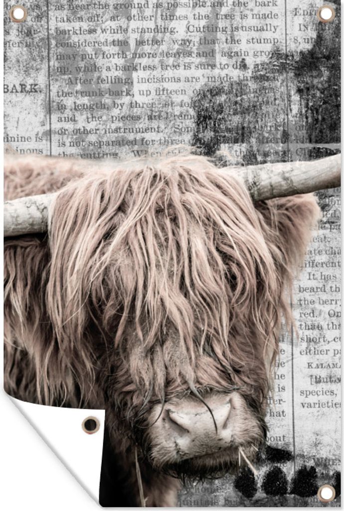 MuchoWow 80x120 cm Outdoor-Poster Gartendeko Sichtschutz Garten Poster für den Garten Schottischer Highlander - Vintage - Zeitungsartikel