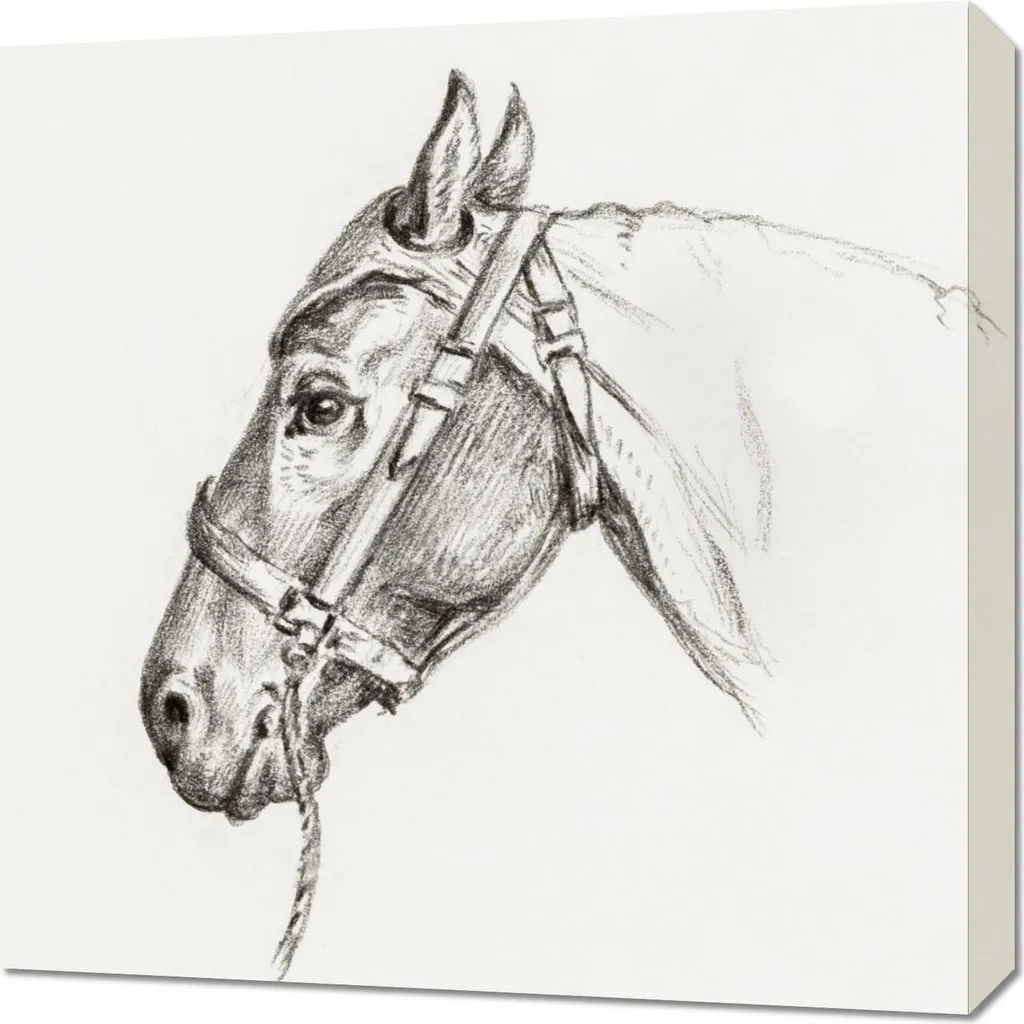 Quadro su Tela 60x60 Jean Bernard Testa di Cavallo 2 Vintage Decor