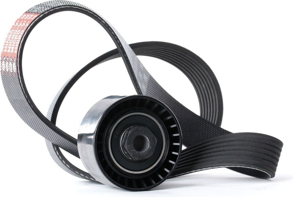 RIDEX 542R0503 Keilrippenriemensatz für RENAULT Clio III Schrägheck (BR0/1, CR0/1)