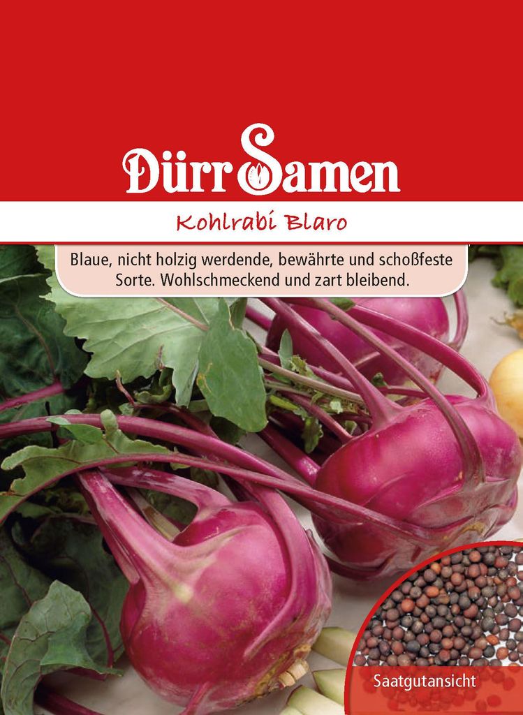 Dürr-Samen - Kohlrabi Blaro - Saatgut - 0522 Produktbild 