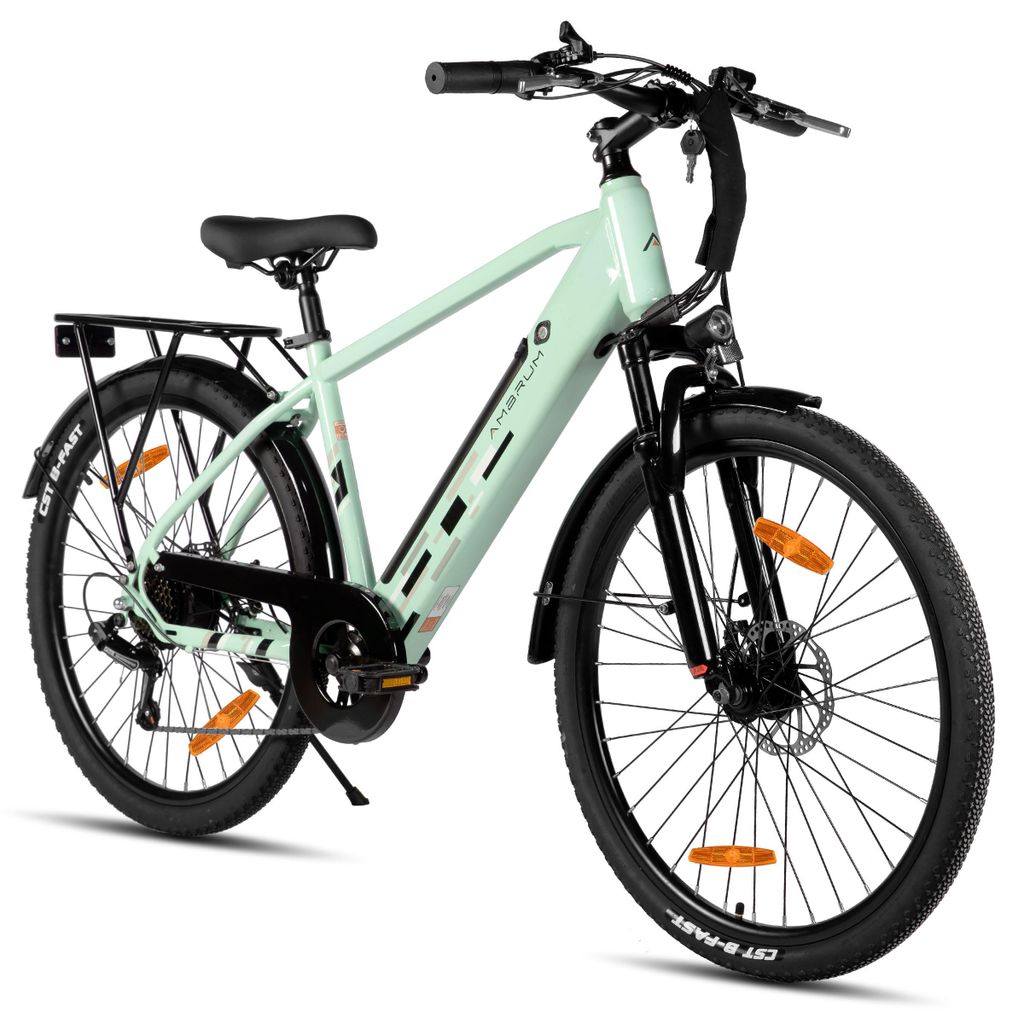 Hiland 26 Zoll Elektro Mountainbike, E-MTB mit 250W Motor, 36V 10.4Ah Batterie, Scheibenbremsen, 7-Gang E-Mountainbike für Männer Frauen