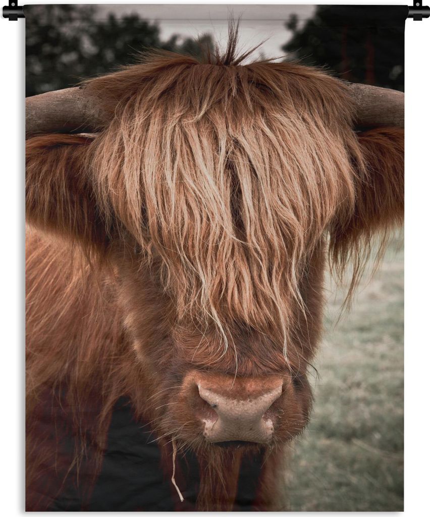 MuchoWow Wandteppich Wandbehang Schottischer Highlander - Baum - Gras 60x80 cm Tapisserie Dekoration Wandtuch - Decke - Wandtücher - Wohne