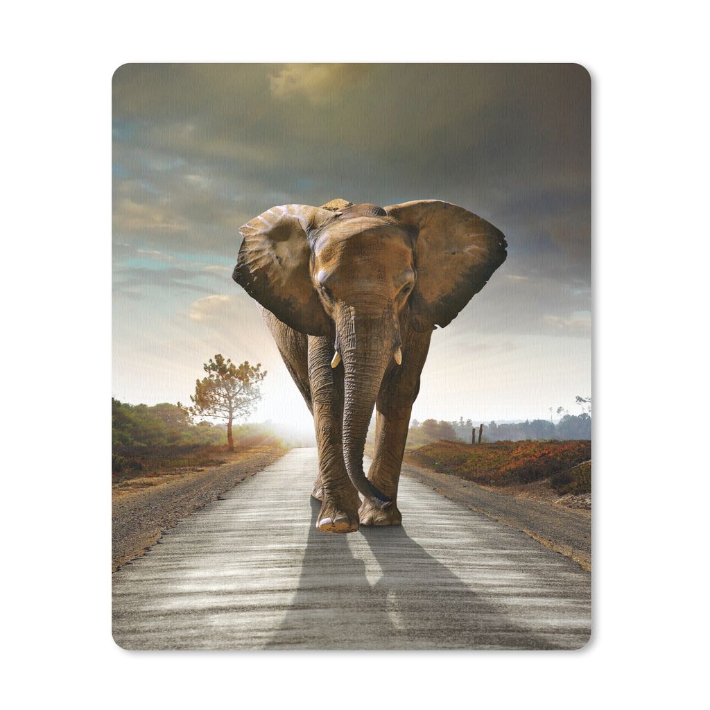 MuchoWow Mauspad Mousepad Elefant - Straße - Tiere - Sonnenuntergang - Landschaft 19x23 cm - Mousepads - Maus Mat - Pad - Mausunterlage - Mauspa...