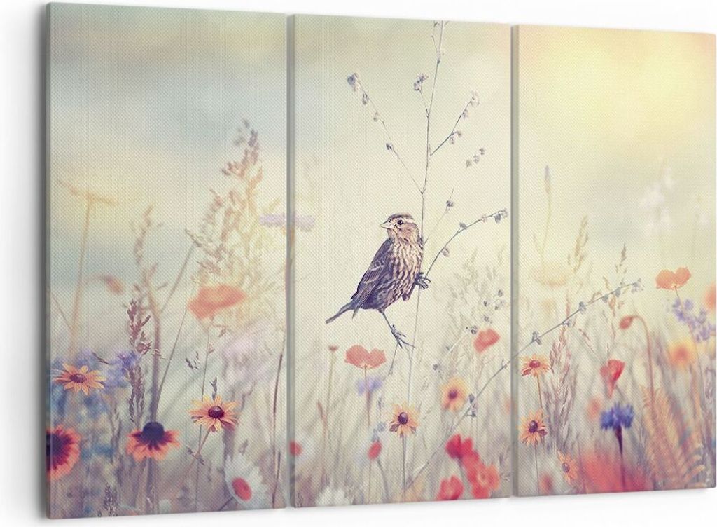 Bild auf Leinwand - Leinwandbild - 3 Teile - Vogel Wildschwein Wiese - 105x70cm - Wand Bild - Wanddeko - Wandbilder - Leinwanddruck - Bilder - Wand...