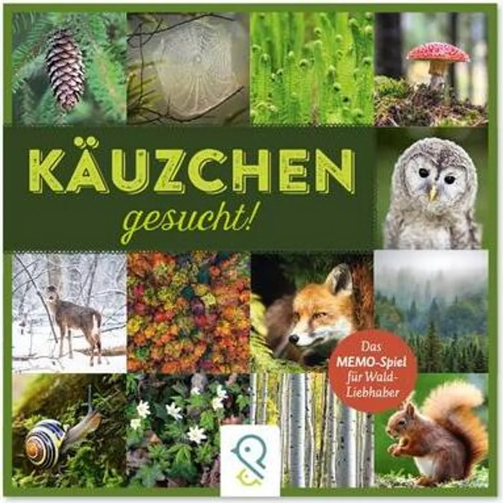 Livre On cherche une petite chouette - Album cartonné pour enfant