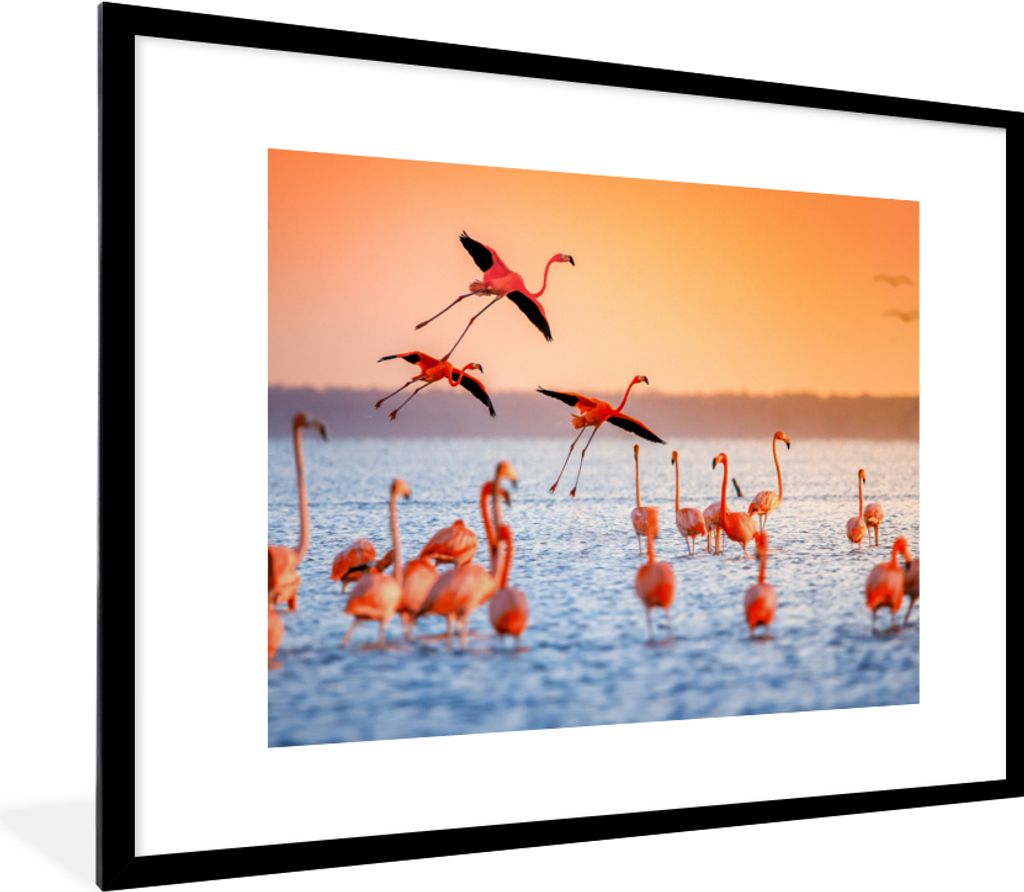 MuchoWow Gerahmtes Poster Vogel - Flamingo - Wasser - Sonnenuntergang - Rosa 80x60 cm - Poster mit Schwarzem Bilderrahmen Wandposter Rahmen Foto ...